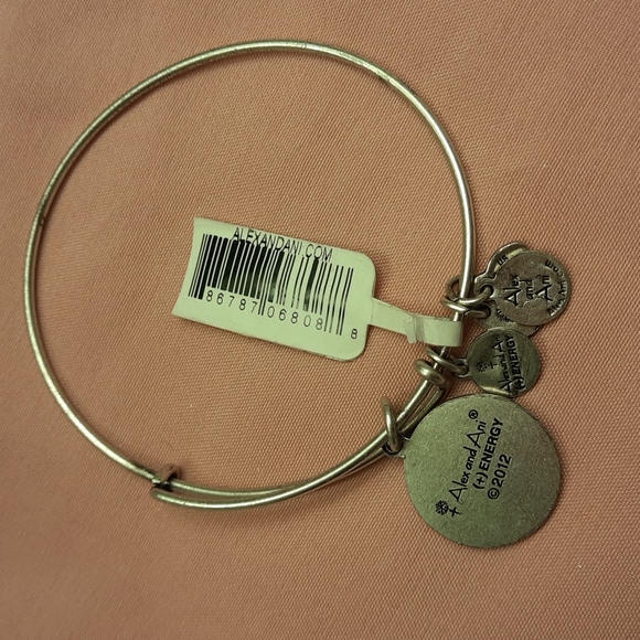 NWT, Alex and Ani U.S. Coast Guard Silver Bracelet - Picture 7 of 9